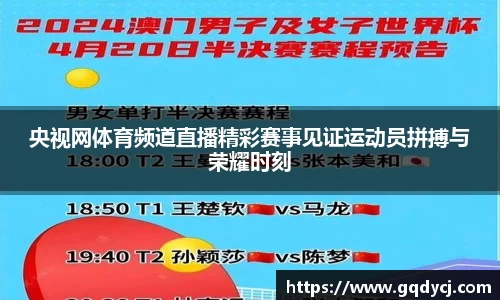 333体育官网