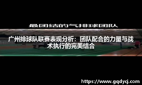 333体育平台