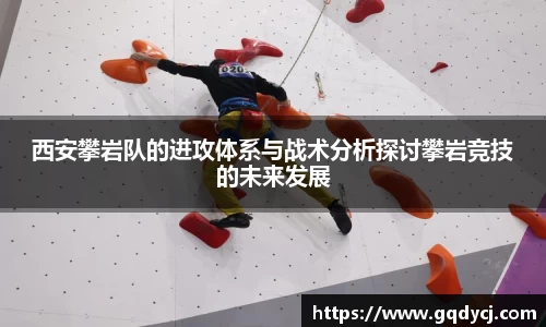 333体育