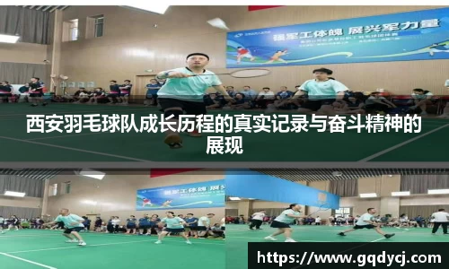 333体育官网