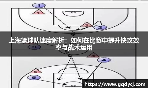 333体育平台