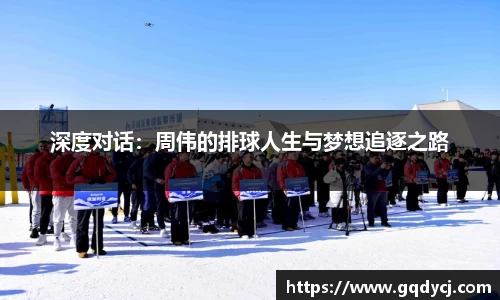 333体育官网