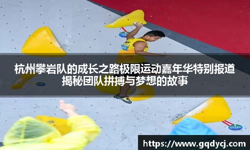 333体育官网