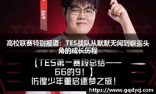 333体育官网