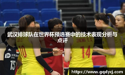 333体育官网
