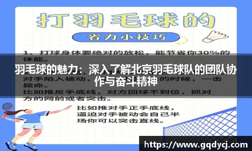 333体育app