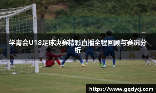 333体育官网