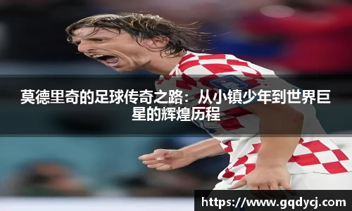 333体育官网